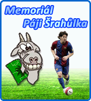 Memoriál Paji Šrahůlka